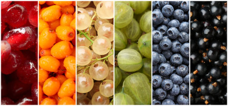 Collage with different fresh fruits and berriesの写真素材