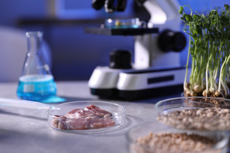 Microscope, Petri dishes with product samples and liquid on table in laboratory, closeupの写真素材