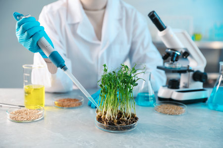 GMO concept. Scientist working with sample of microgreens at table, closeupの写真素材