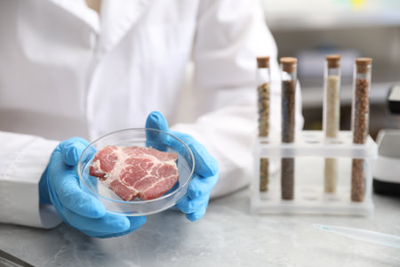 Scientist with sample of meat at table, closeupの写真素材