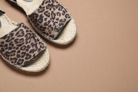 Pair of stylish shoes on beige background, flat lay. Space for text