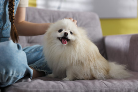 Teenage girl with Pomeranian dog at home, closeupの写真素材
