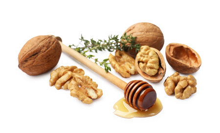 Tasty walnuts with honey, thyme and dipper isolated on whiteの写真素材