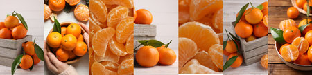 Collage with fresh tangerines, banner design. Citrus fruitの写真素材