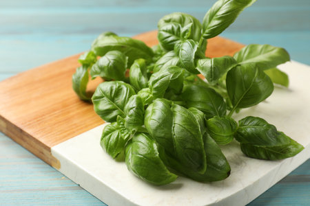 Fresh basil leaves on light blue wooden table, closeupの写真素材