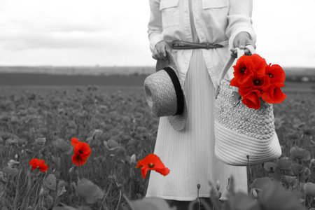 Woman holding straw hat and handbag with poppy flowers in beautiful field, closeup. Black-and-white toning with red color accentの写真素材
