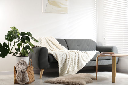 Stylish room with monstera houseplant and comfortable sofa. Interior designの写真素材