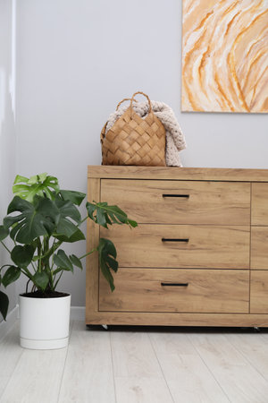 Stylish room with monstera houseplant near chest of drawers