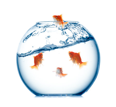 Goldfish jumping out of glass bowl against white backgroundの写真素材