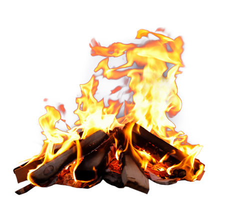 Bonfire isolated on white. Burning firewood with flamesの写真素材