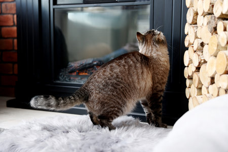 Cute cat near fireplace at home. Adorable petの写真素材