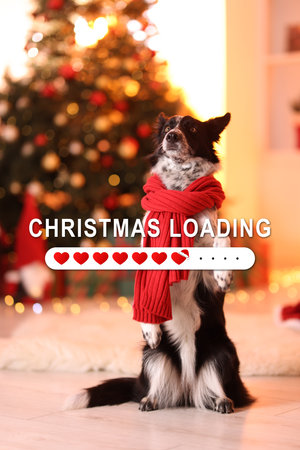 Christmas expectation. Loading bar with hearts. Cute dog in room decorated for holiday