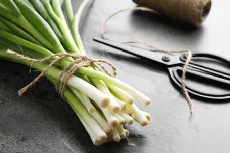 Bunch of fresh green onions, scissors and twine on gray table, closeupの写真素材