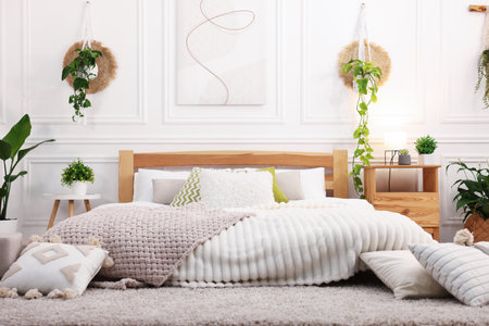 Beautiful room with comfortable bed, pillows, lamp and different houseplantsの写真素材
