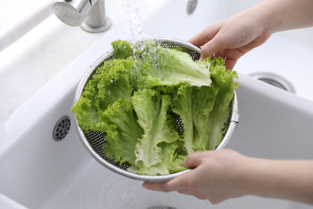 Woman washing lettuce in sieve at sink, closeup