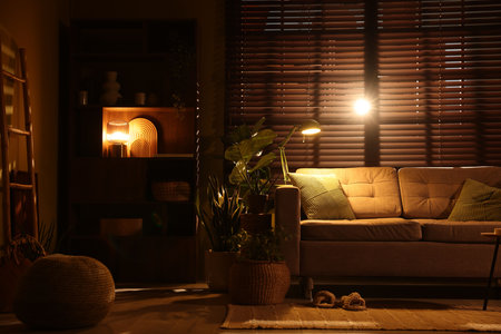 Stylish living room with sofa and houseplants. Interior designの写真素材