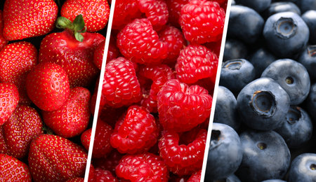 Collage of different fresh berries. Strawberries, blueberries and raspberriesの写真素材