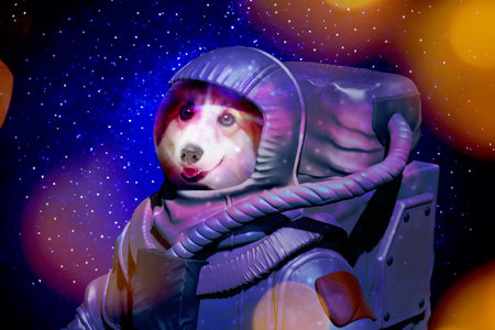 Dog astronaut wearing special suit in spaceの写真素材