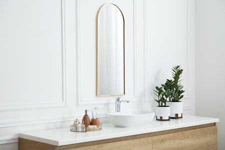 Stylish mirror, vessel sink and houseplants in bathroom. Interior designの写真素材