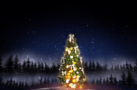 Christmas tree glowing under falling snow in forest at night. Greeting card designの写真素材