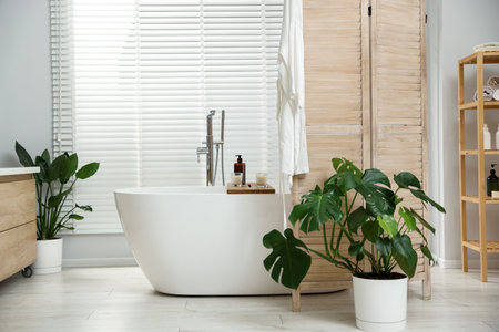 Stylish bathroom interior with folding screen and tubの写真素材