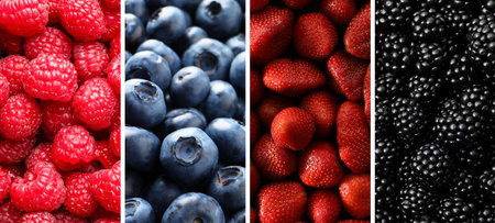 Collage of different fresh berries. Strawberries, blueberries, raspberries and blackberriesの写真素材