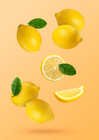 Fresh lemons and green leaves falling on orange gradient backgroundの写真素材