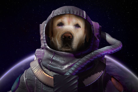 Dog in space suit against planet in spaceの写真素材