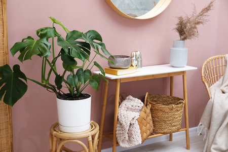 Monstera houseplant and stylish furniture with decor at home. Interior design