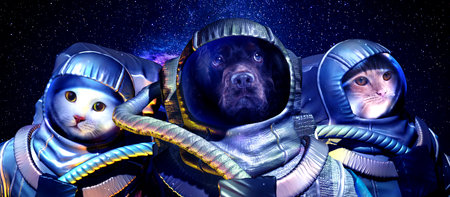 Astronaut animals in space. Banner designの写真素材