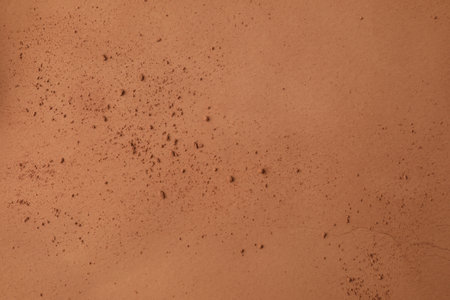 Natural cocoa powder as background, top view