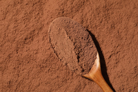 Cocoa powder and wooden spoon as background, top view