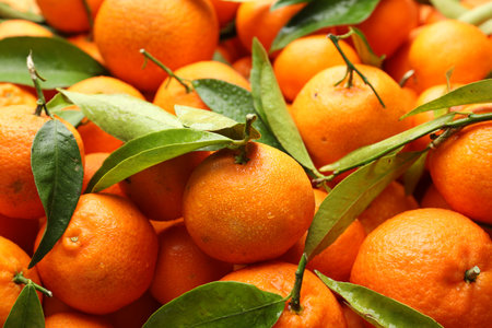 Many fresh ripe tangerines with green leaves and water drops as background, closeup