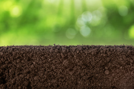 Soil against blurred green background, closeup view