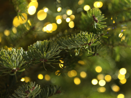 Beautiful fir tree against blurred Christmas lights, closeup. Bokeh effect