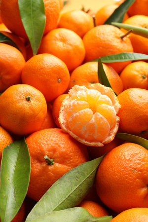 Many fresh ripe tangerines with green leaves as background, closeup