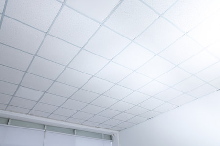 Tiled ceiling indoors, closeup