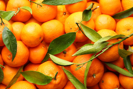 Many fresh ripe tangerines with green leaves and water drops as background, top view