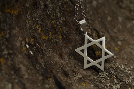 Holocaust Remembrance Day. Pendant in shape of Star of David on tree bark, closeup