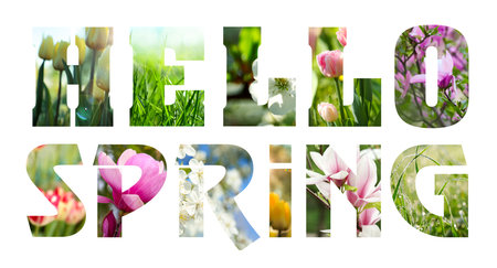 Hello Spring. Letters with blooming flowers inside on white background. Card or poster design