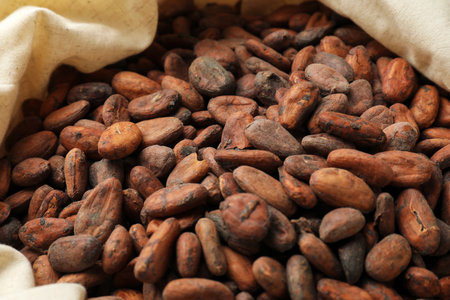 Fresh cocoa beans in sack, closeup view