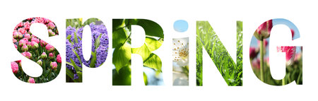 Hello Spring. Letters with blooming flowers inside on white background. Card or poster designの写真素材