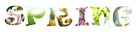 Hello Spring. Letters with blooming flowers inside on white background. Card or poster design