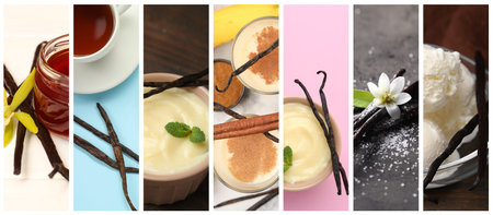 Vanilla flavored products. Collage with desserts and podsの写真素材