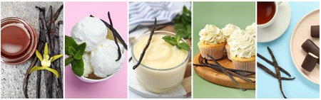 Vanilla flavored products. Collage with desserts and podsの写真素材