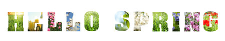 Hello Spring. Letters with blooming flowers inside on white background. Card or poster design