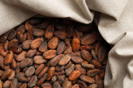Fresh cocoa beans in sack, top viewの写真素材