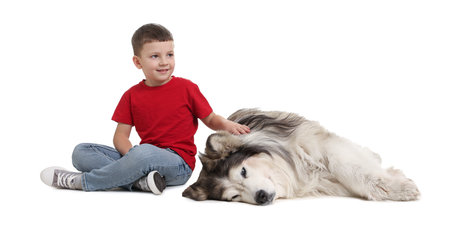 Smiling little boy stroking his cute Alaskan malamute dog on white background