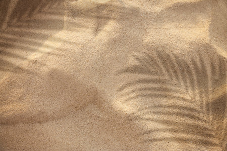 Golden sand with shadow of palm leaves, top view.
