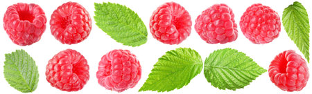 Fresh raspberries and green leaves isolated on white, set